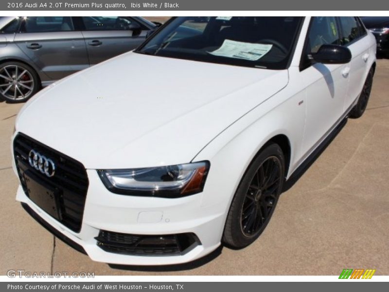 Ibis White / Black 2016 Audi A4 2.0T Premium Plus quattro