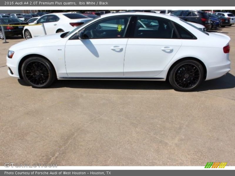 Ibis White / Black 2016 Audi A4 2.0T Premium Plus quattro