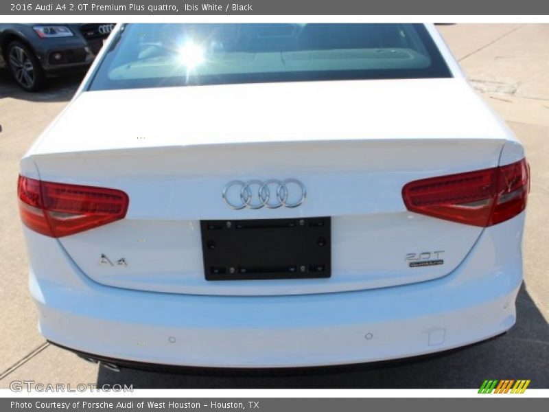 Ibis White / Black 2016 Audi A4 2.0T Premium Plus quattro
