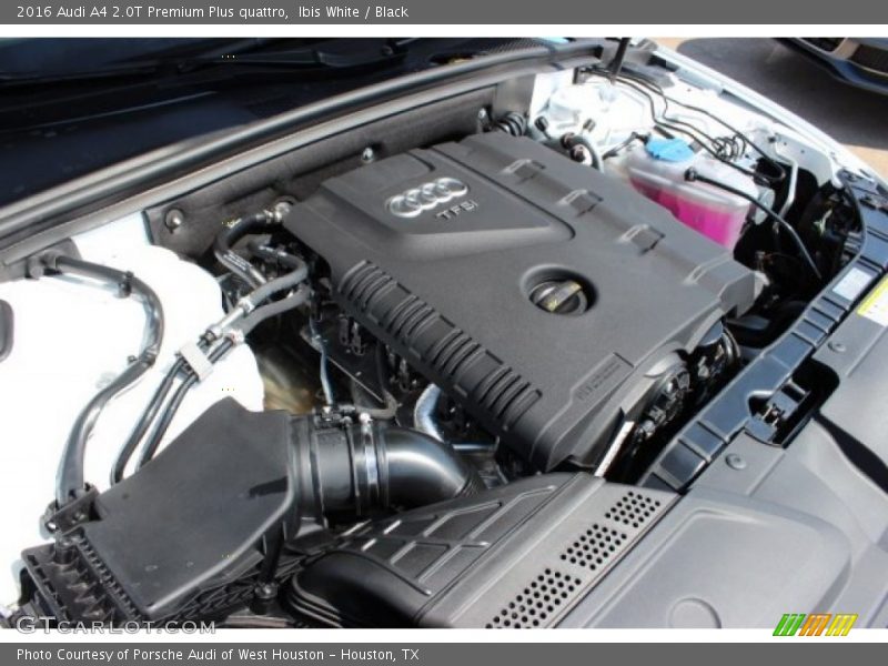 Ibis White / Black 2016 Audi A4 2.0T Premium Plus quattro