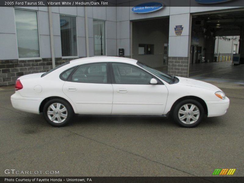 Vibrant White / Medium/Dark Flint 2005 Ford Taurus SEL