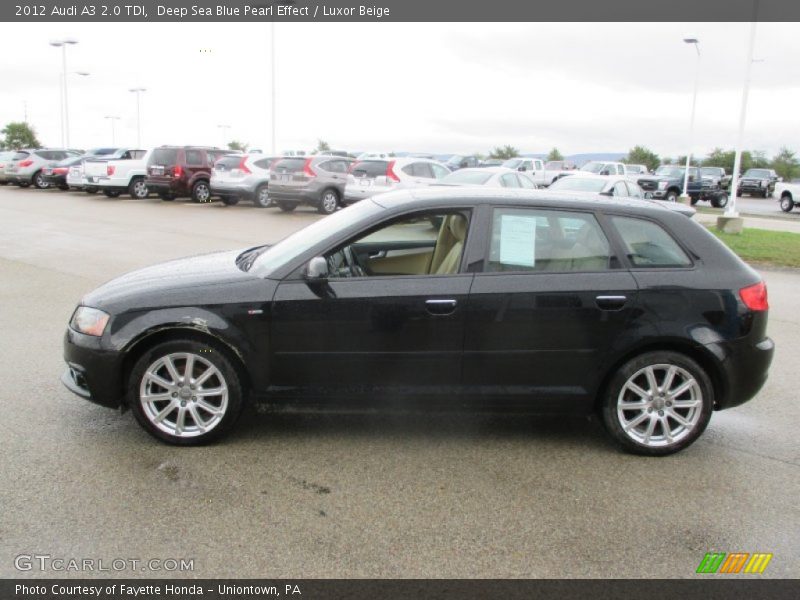 Deep Sea Blue Pearl Effect / Luxor Beige 2012 Audi A3 2.0 TDI