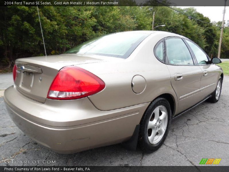 Gold Ash Metallic / Medium Parchment 2004 Ford Taurus SE Sedan