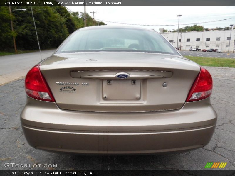 Gold Ash Metallic / Medium Parchment 2004 Ford Taurus SE Sedan