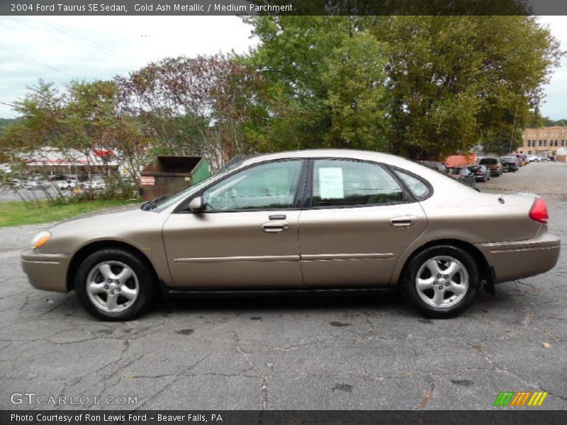 Gold Ash Metallic / Medium Parchment 2004 Ford Taurus SE Sedan