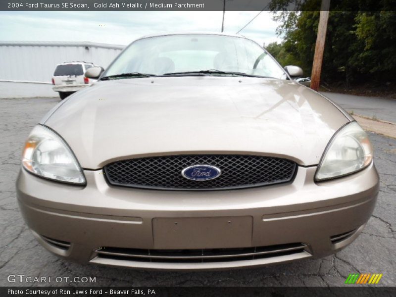 Gold Ash Metallic / Medium Parchment 2004 Ford Taurus SE Sedan