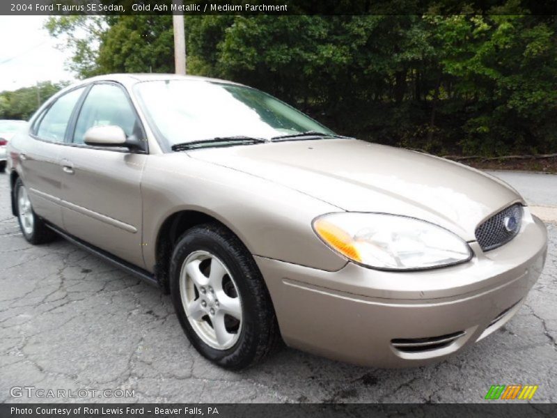 Gold Ash Metallic / Medium Parchment 2004 Ford Taurus SE Sedan