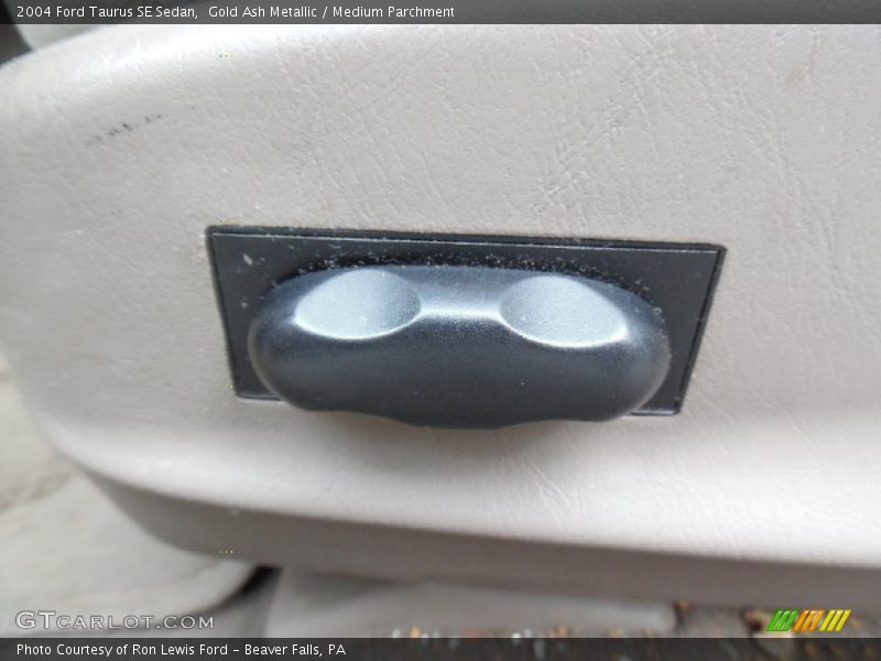 Gold Ash Metallic / Medium Parchment 2004 Ford Taurus SE Sedan
