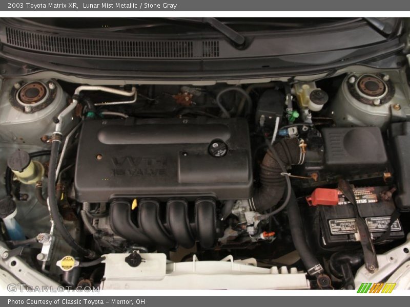 Lunar Mist Metallic / Stone Gray 2003 Toyota Matrix XR