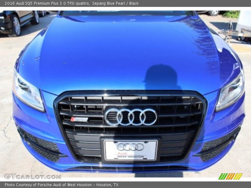 Sepang Blue Pearl / Black 2016 Audi SQ5 Premium Plus 3.0 TFSI quattro