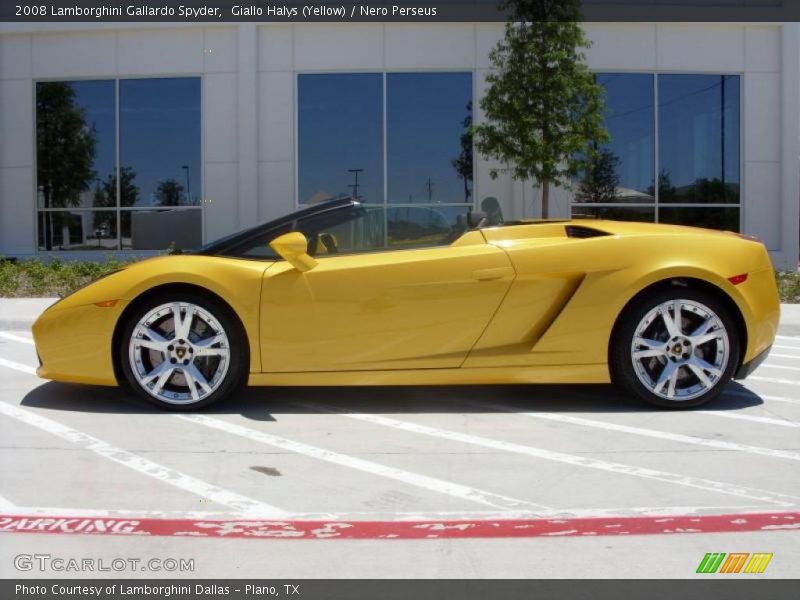 Giallo Halys (Yellow) / Nero Perseus 2008 Lamborghini Gallardo Spyder