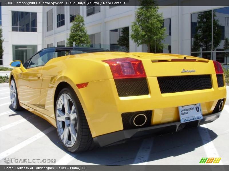 Giallo Halys (Yellow) / Nero Perseus 2008 Lamborghini Gallardo Spyder