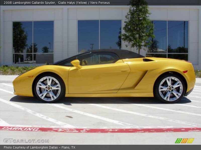Giallo Halys (Yellow) / Nero Perseus 2008 Lamborghini Gallardo Spyder