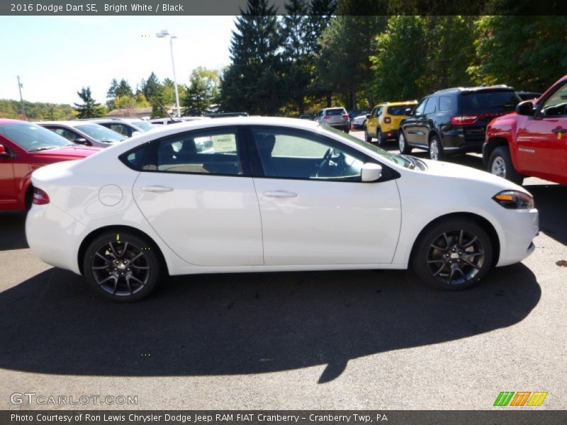 Bright White / Black 2016 Dodge Dart SE