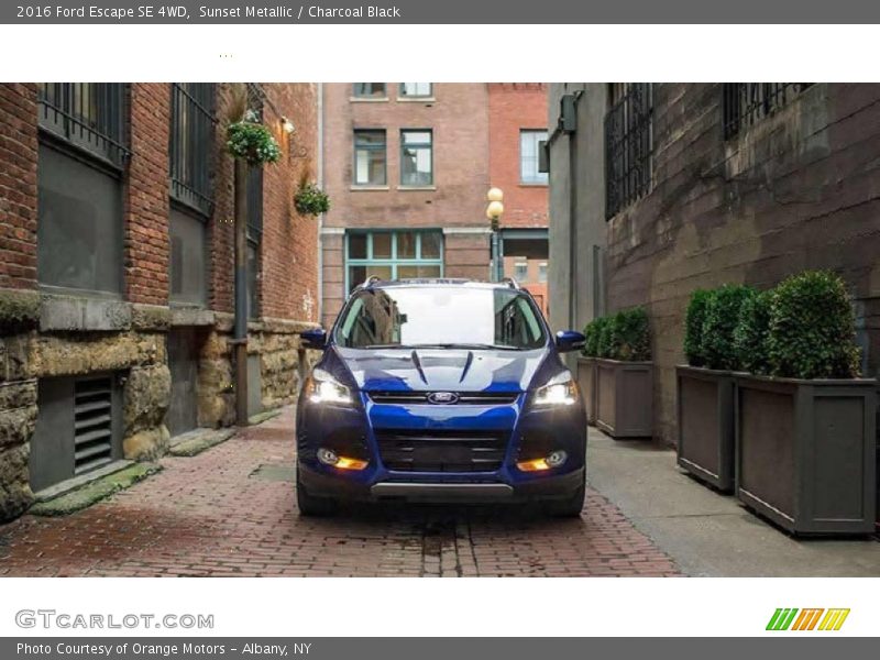 Sunset Metallic / Charcoal Black 2016 Ford Escape SE 4WD