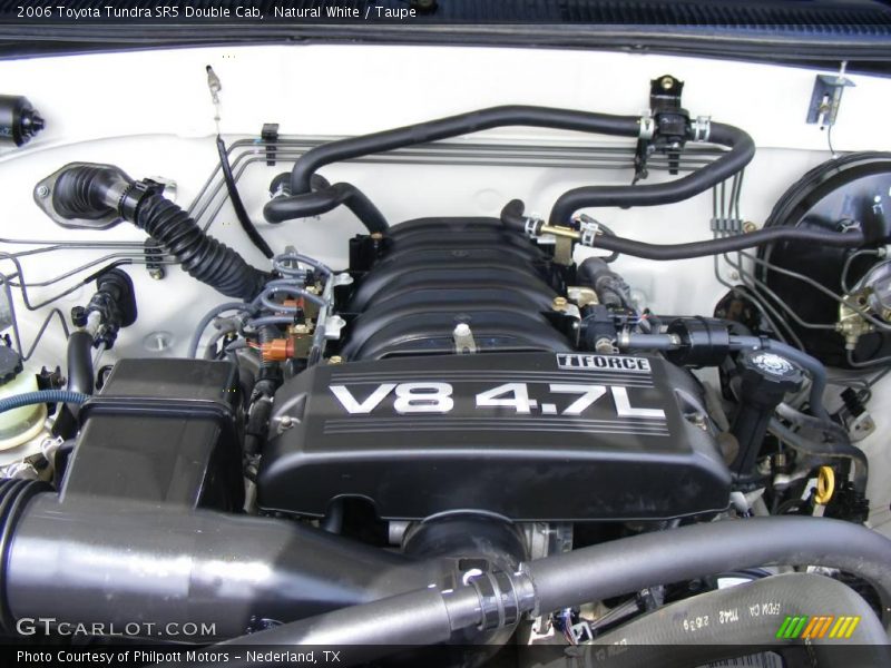 Natural White / Taupe 2006 Toyota Tundra SR5 Double Cab