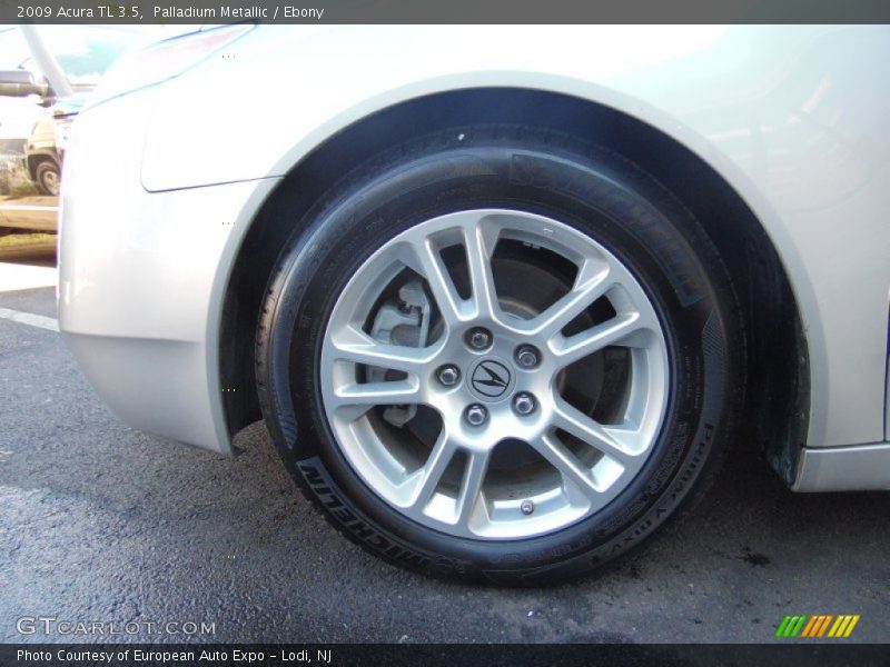 Palladium Metallic / Ebony 2009 Acura TL 3.5