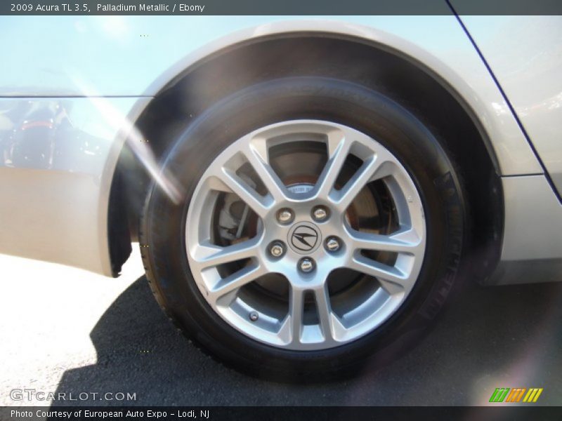 Palladium Metallic / Ebony 2009 Acura TL 3.5