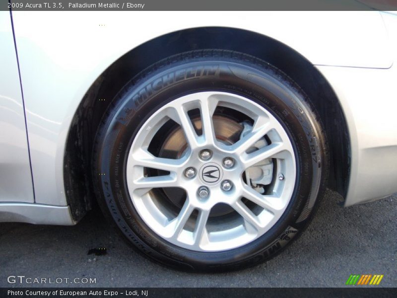 Palladium Metallic / Ebony 2009 Acura TL 3.5