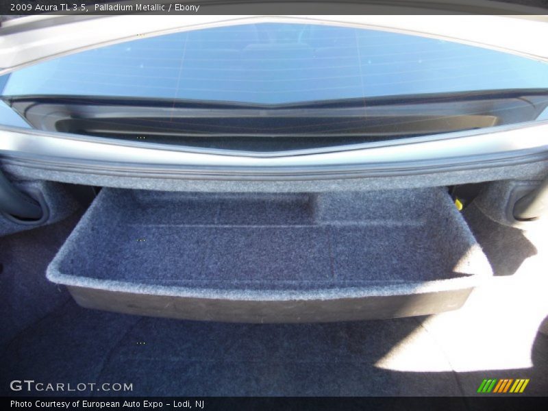 Palladium Metallic / Ebony 2009 Acura TL 3.5