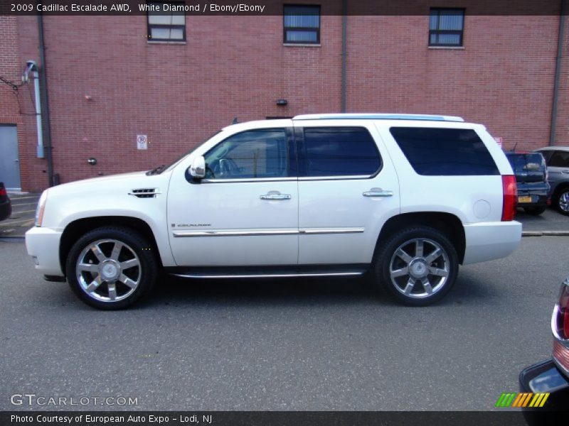 White Diamond / Ebony/Ebony 2009 Cadillac Escalade AWD