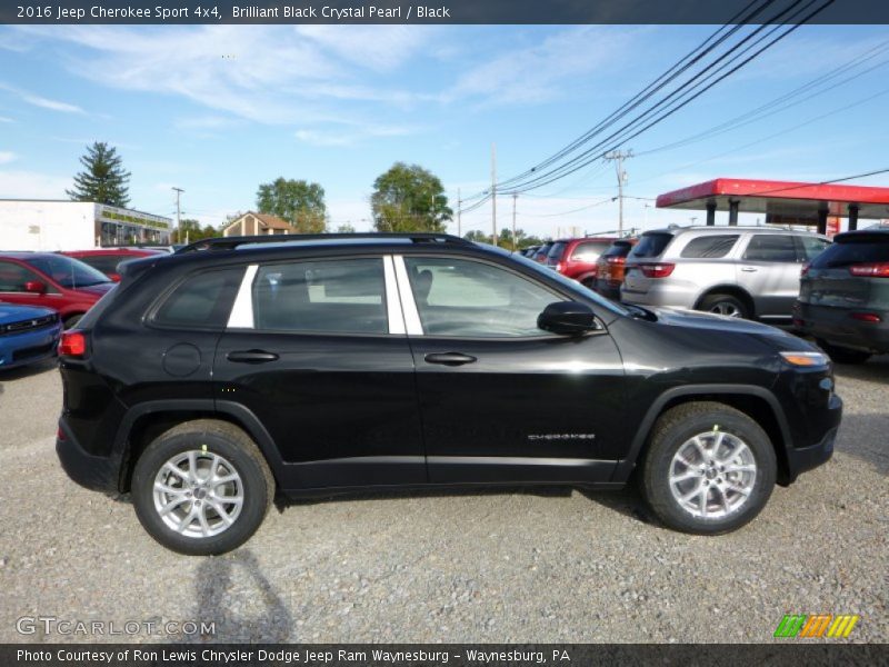 Brilliant Black Crystal Pearl / Black 2016 Jeep Cherokee Sport 4x4