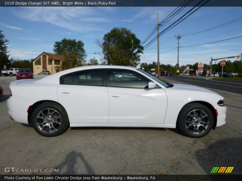 Bright White / Black/Ruby Red 2016 Dodge Charger SXT AWD