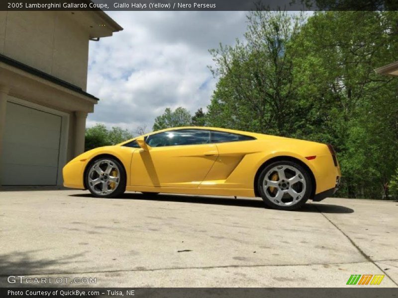 Giallo Halys (Yellow) / Nero Perseus 2005 Lamborghini Gallardo Coupe