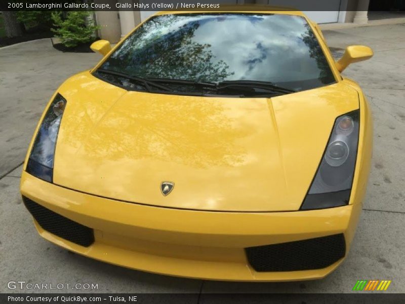 Giallo Halys (Yellow) / Nero Perseus 2005 Lamborghini Gallardo Coupe