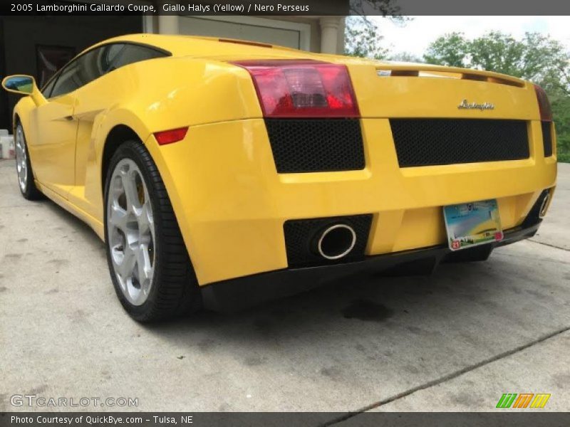 Giallo Halys (Yellow) / Nero Perseus 2005 Lamborghini Gallardo Coupe