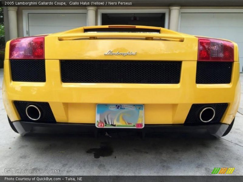 Giallo Halys (Yellow) / Nero Perseus 2005 Lamborghini Gallardo Coupe