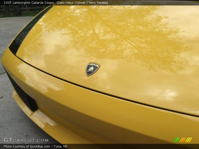 Giallo Halys (Yellow) / Nero Perseus 2005 Lamborghini Gallardo Coupe