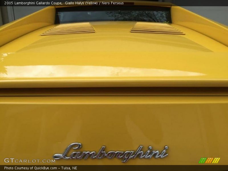 Giallo Halys (Yellow) / Nero Perseus 2005 Lamborghini Gallardo Coupe