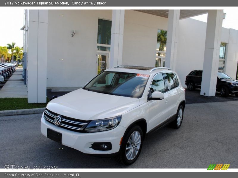Candy White / Black 2012 Volkswagen Tiguan SE 4Motion