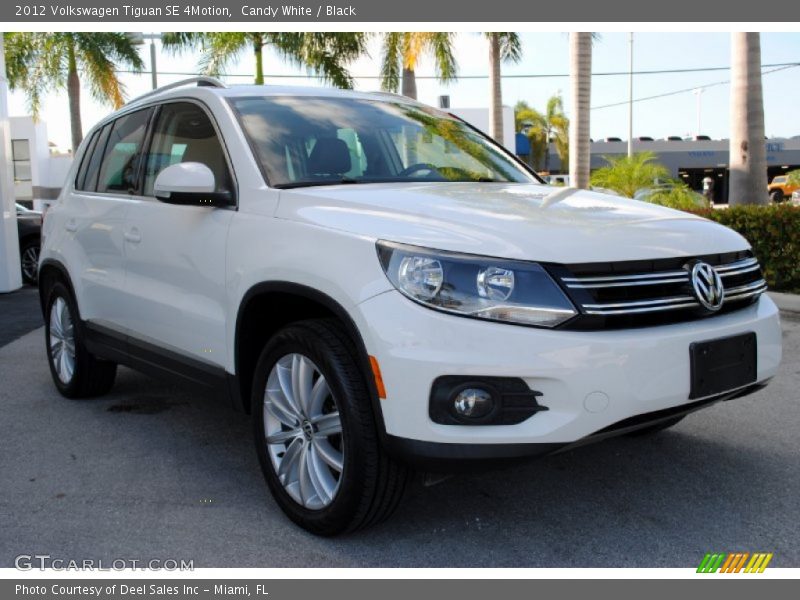 Candy White / Black 2012 Volkswagen Tiguan SE 4Motion