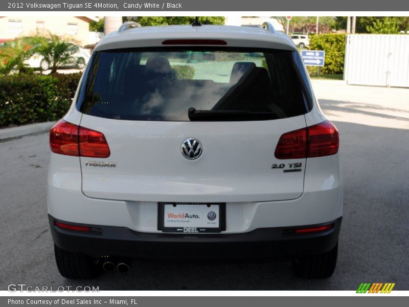 Candy White / Black 2012 Volkswagen Tiguan SE 4Motion