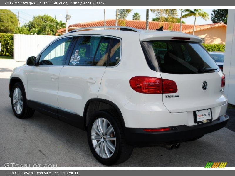 Candy White / Black 2012 Volkswagen Tiguan SE 4Motion