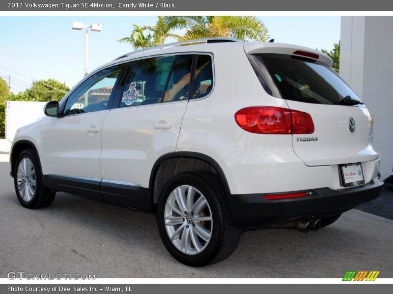 Candy White / Black 2012 Volkswagen Tiguan SE 4Motion