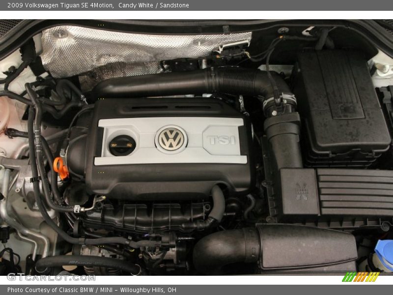 Candy White / Sandstone 2009 Volkswagen Tiguan SE 4Motion
