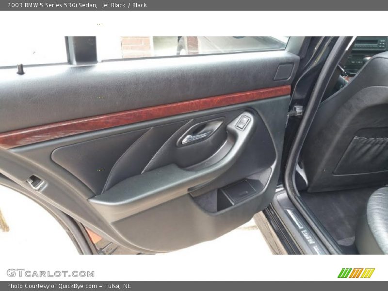 Door Panel of 2003 5 Series 530i Sedan