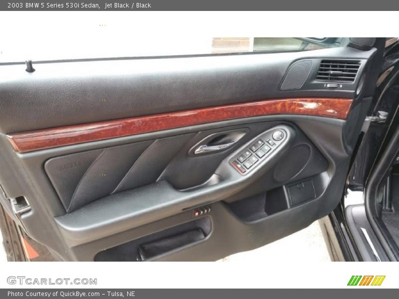 Door Panel of 2003 5 Series 530i Sedan