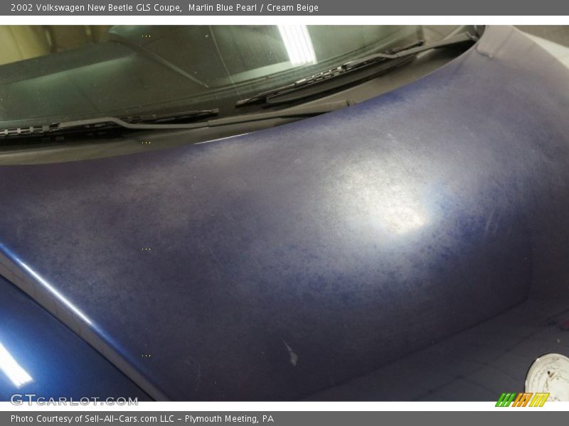 Marlin Blue Pearl / Cream Beige 2002 Volkswagen New Beetle GLS Coupe