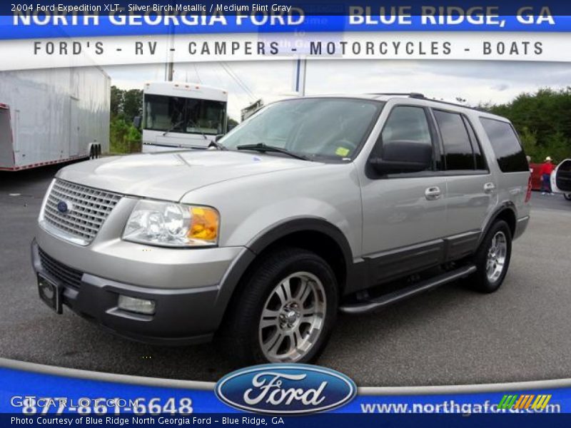 Silver Birch Metallic / Medium Flint Gray 2004 Ford Expedition XLT