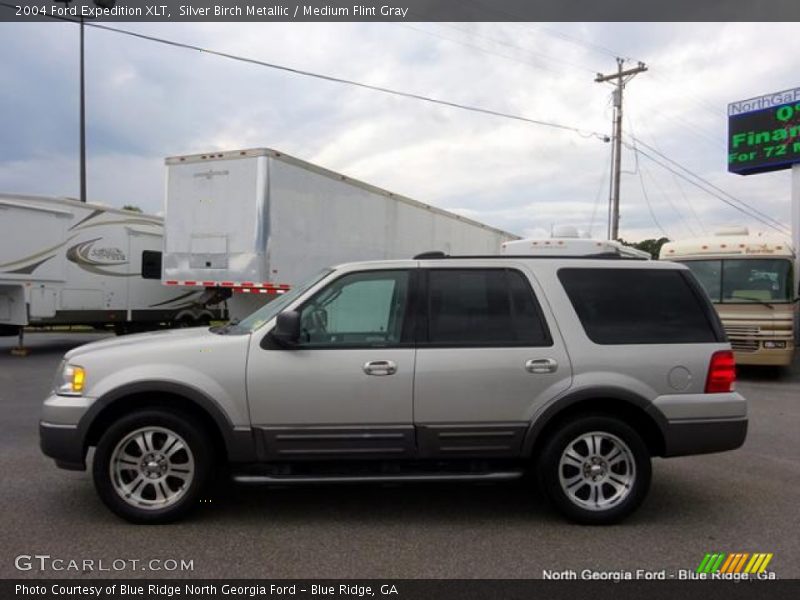 Silver Birch Metallic / Medium Flint Gray 2004 Ford Expedition XLT