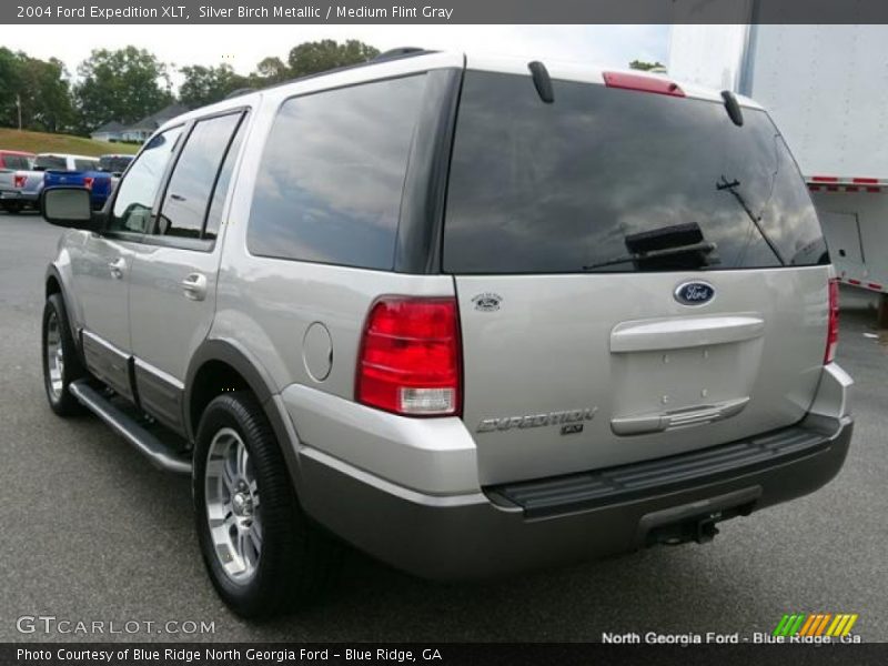 Silver Birch Metallic / Medium Flint Gray 2004 Ford Expedition XLT