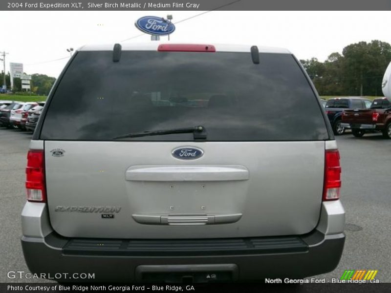 Silver Birch Metallic / Medium Flint Gray 2004 Ford Expedition XLT