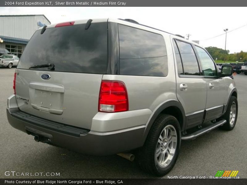 Silver Birch Metallic / Medium Flint Gray 2004 Ford Expedition XLT