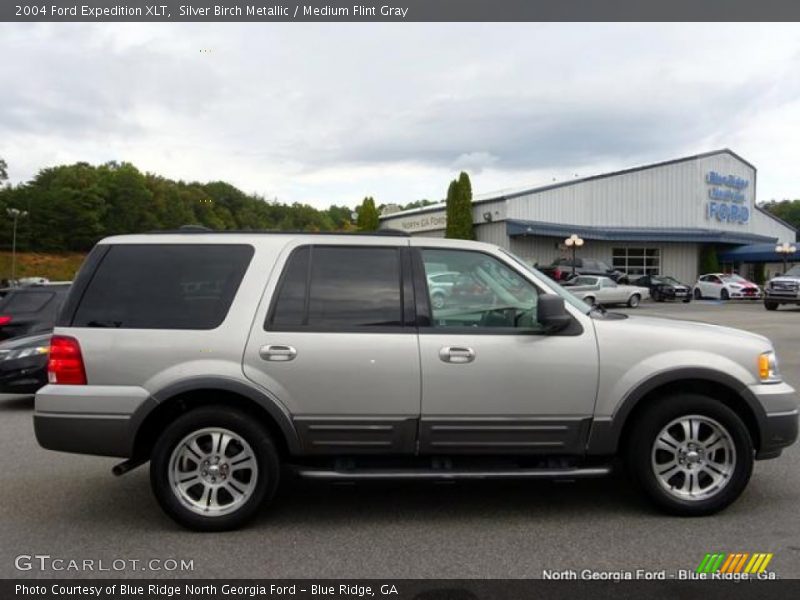 Silver Birch Metallic / Medium Flint Gray 2004 Ford Expedition XLT