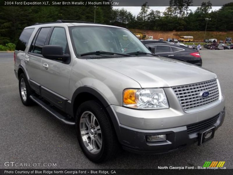 Silver Birch Metallic / Medium Flint Gray 2004 Ford Expedition XLT