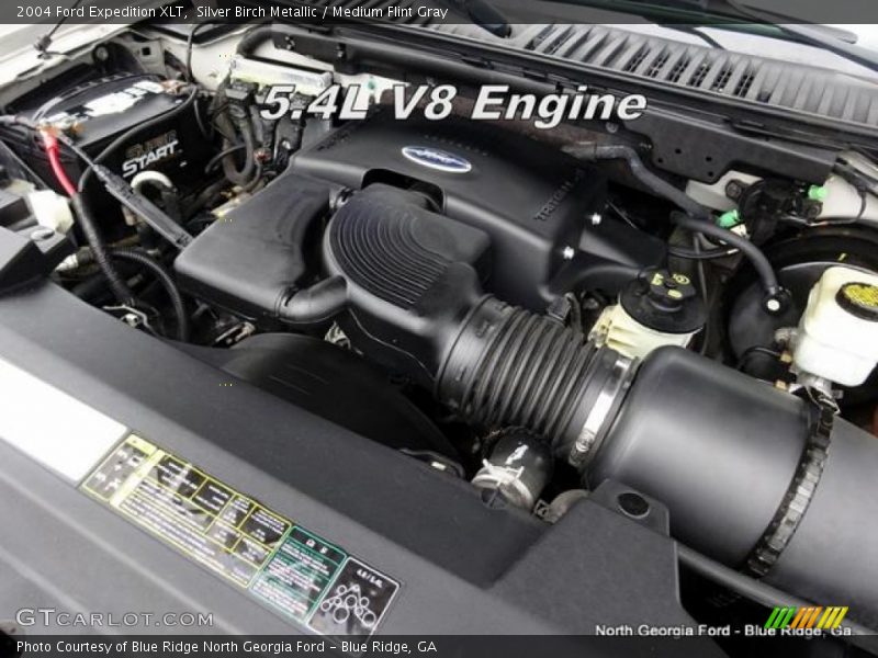 Silver Birch Metallic / Medium Flint Gray 2004 Ford Expedition XLT